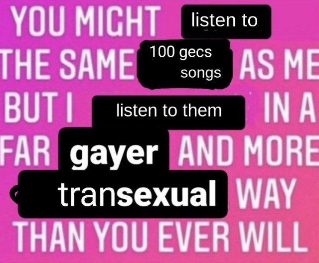 a bunch of text with some blacked out with other text put on top that reads "you might listen to the same 100 gecs songs as me but I listen to them in a far gayer and more transexual way than you ever will" 
