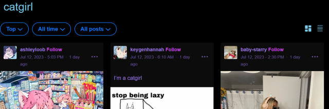 [ID: Tumblr search of "catgirl" that was successful, showing several posts. End ID.]