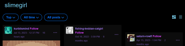 [ID: Tumblr search of "slimegirl" that was successful, showing several posts. End ID.]