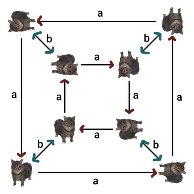 the "i wake up, there is x" meme with the munchkin tabby cat except the arrows and letters form the cayley graph the order 8 dihedral group. the symmetry group for a square.
and instead of the letter "F" being the thing that gets rotated and flipped, its the cat.
there's two oppositely directed cycles of clockwise rotation, brown headed arrows with the letter "a". that arrow spins the cat 90 degrees clockwise. the two cycles are connected with horizontal flipping, dark cyan headed two-directional arrows with the letter "b". this arrow flips the cat.